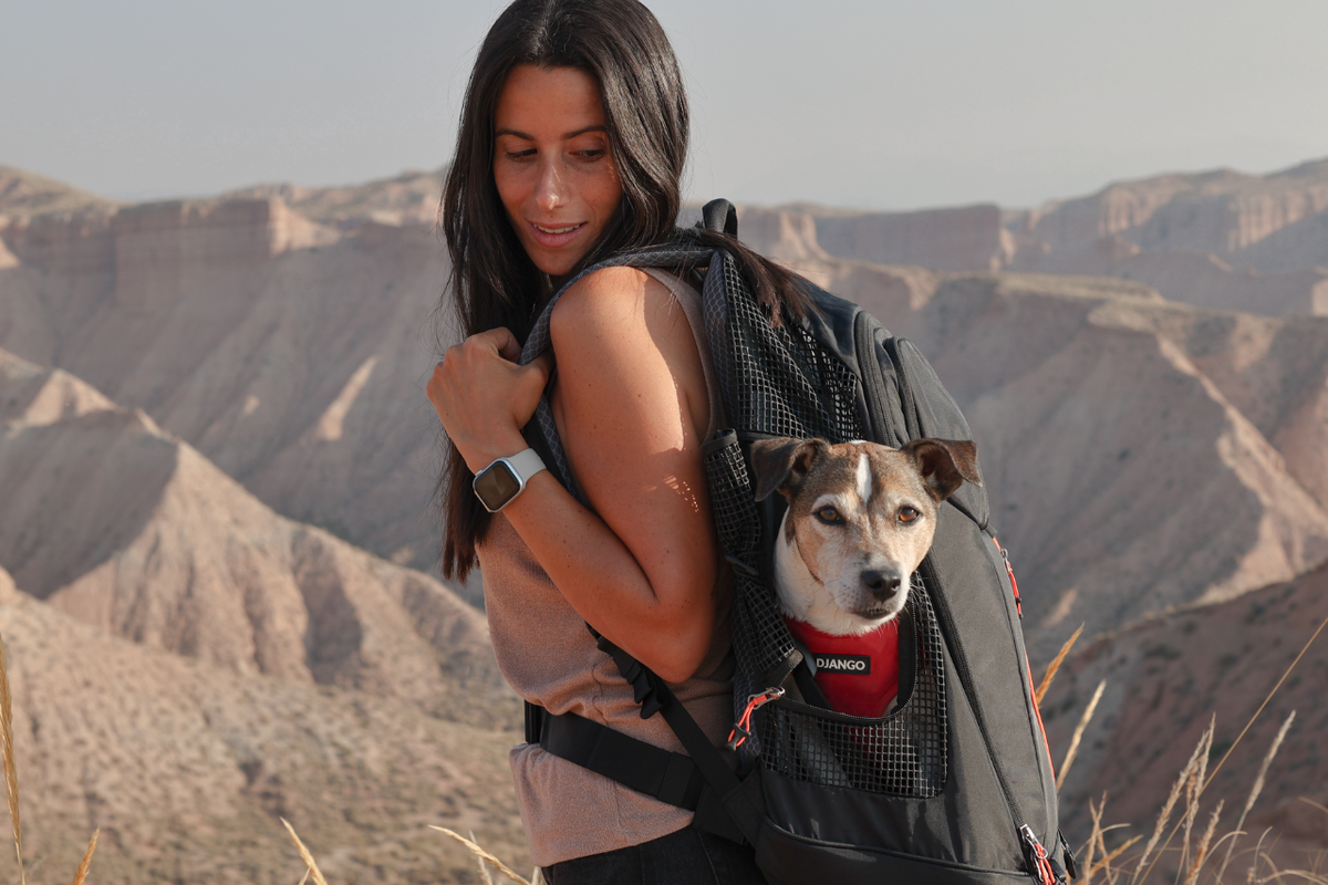 best dog backpack for hiking K9 Sport Sack Kolossus - Large, Myrtle Green - The Big - Ideal Dogs 20-22 Long - Fully Adjustable Pet Carrier Single adjustable belly strap The 6 Best Dog Backpacks