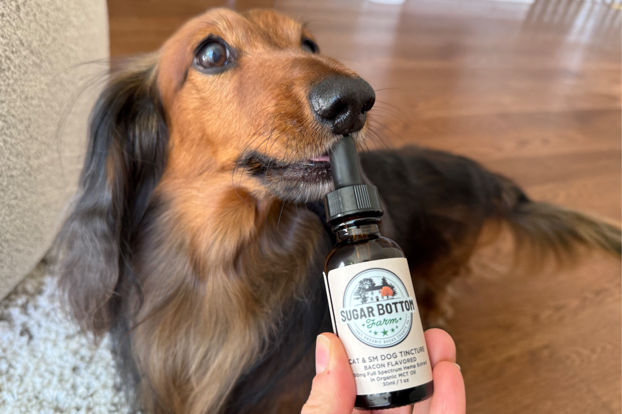 Best CBD for Pets | Sugar Bottom Hemp Pet CBD Product Reviews