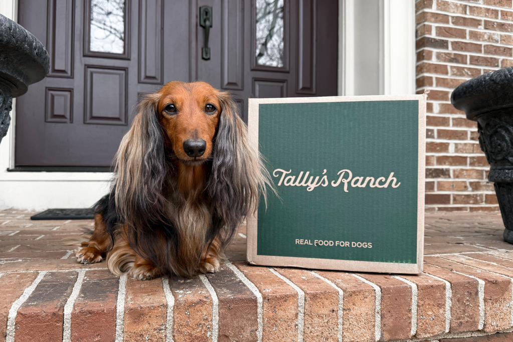 Best Freeze-Dried Dog Food // Tally's Ranch Review