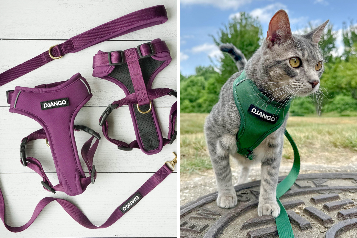 Pet Supplies Best Cat Harness Amazon Best Cat Harness For Escape