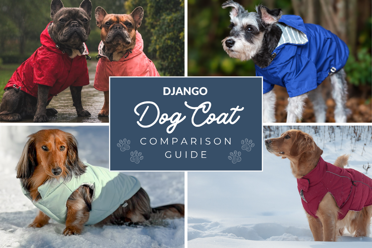 Which DJANGO Dog Coat Is Right for Your Dog? Compare All 5 Styles