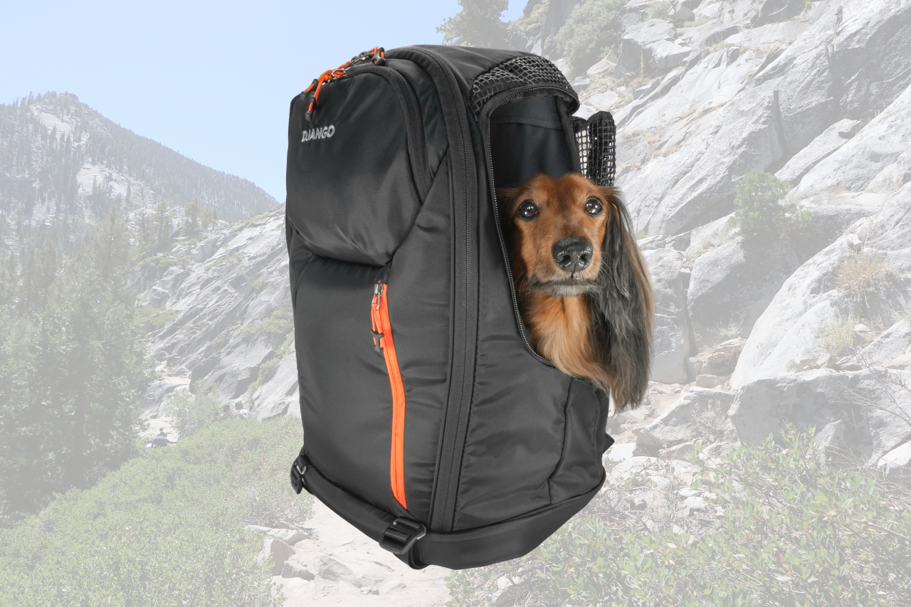 DJANGO Dog Backpack Carrier FAQs - Are backpack carriers good for dogs? Do dogs like riding in backpack carriers? Are backpack carriers OK for dachshunds? - djangobrand.com