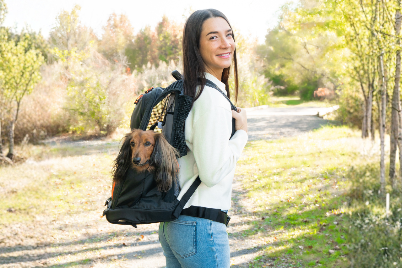 Best Dog Carrier Backpack (2026): Real Customer Reviews