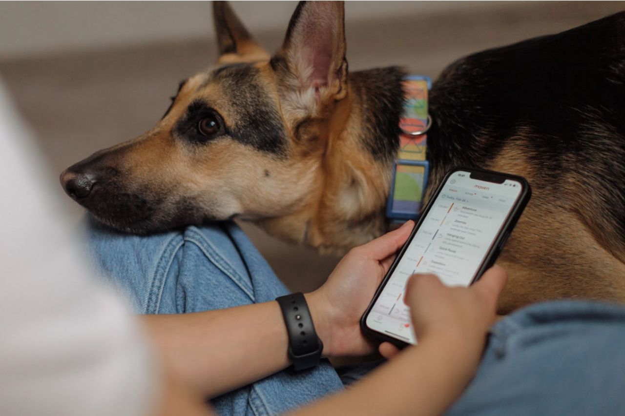 How to Monitor Your Dog’s Health at Home | 7 Signals Pet Parents Shouldn’t Ignore