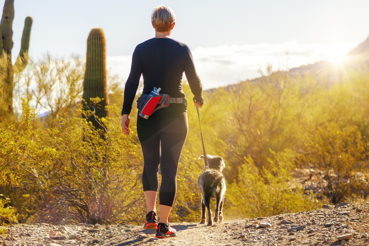 Top 10 Dog-Friendly U.S. National Parks for Hiking with Your Pup