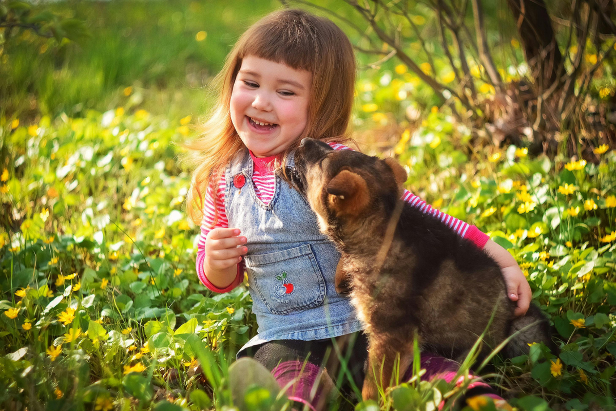 Small dog and happy child sitting outside in grass