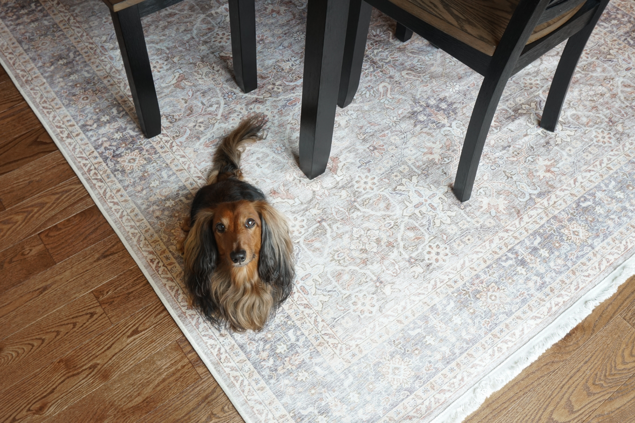 Tumble washable rug in dining room with dog under table Lisa taupe multi