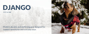 DJANGO - Shop the dog accessories and apparel collection on djangobrand.com