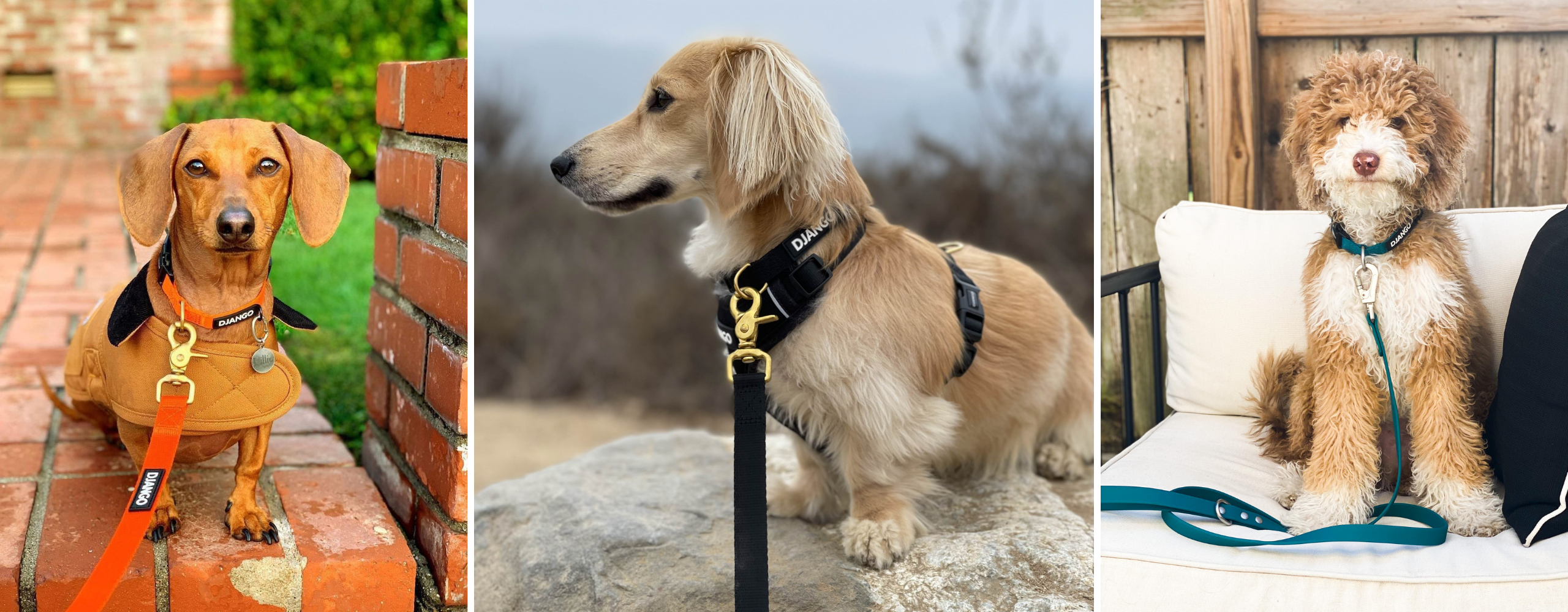 DJANGO Dog Collars - High quality, comfortable, and stylish dog collars designed for outdoor adventures and everyday wear - djangobrand.com