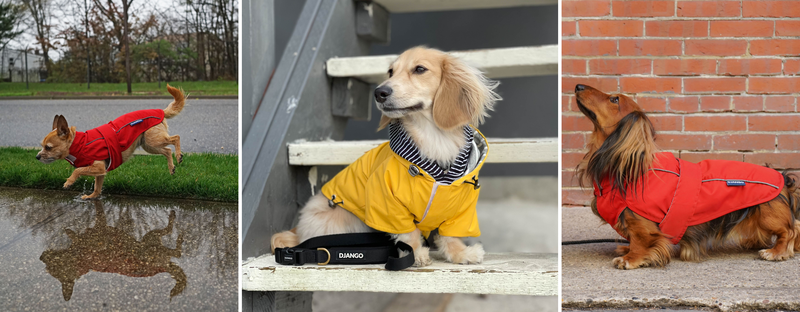 DJANGO Dog Raincoats - djangobrand.com