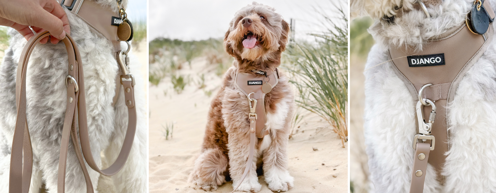 DJANGO Tahoe Waterproof Dog Leashes djangobrand