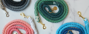 DJANGO cotton rope dog leashes are handcrafted, hand-dyed, and made with soft and flexible three-strand natural rope - djangobrand.com