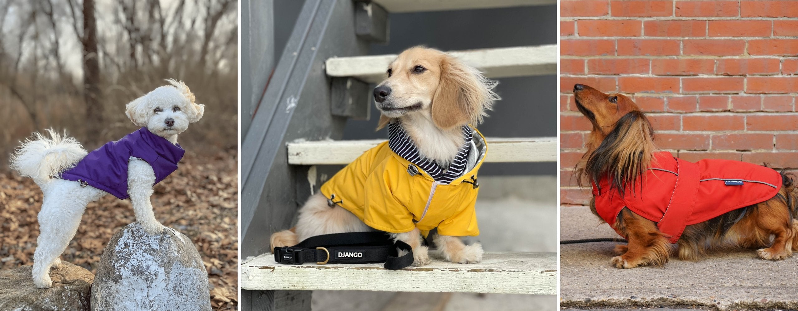 DJANGO Dog Coats - Puffer dog coats, waterproof dog raincoats, lightweight dog jackets, and more - djangobrand.com