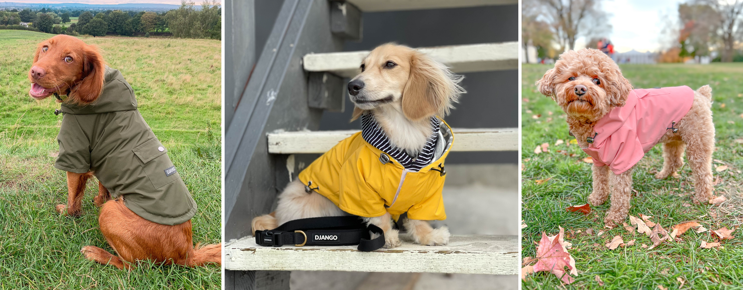 DJANGO Highland Cold Weather Dog Jacket and Raincoat - Stylish waterproof raincoat for dogs and puppies with an optional hood, adjustable hood and hem, velcro closure, gunmetal hardware, and adorable back pocket - djangobrand.com