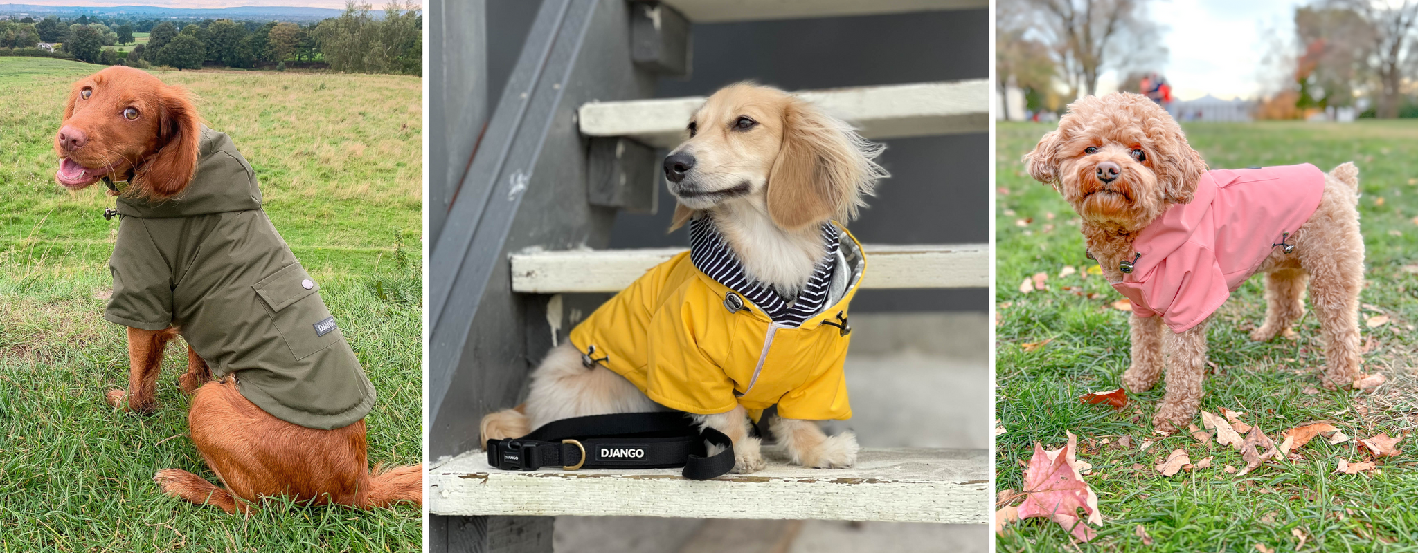 DJANGO Highland Cold Weather Dog Jacket and Raincoat djangobrand
