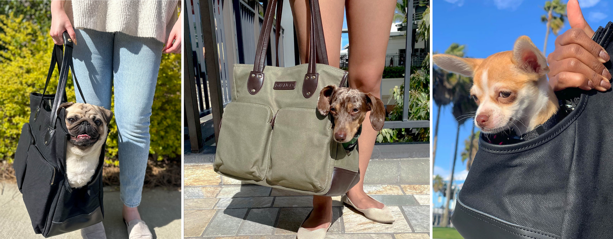 Dog Carrier Bag - Waxed Canvas & Leather Pet Travel Tote - Black - DJANGO