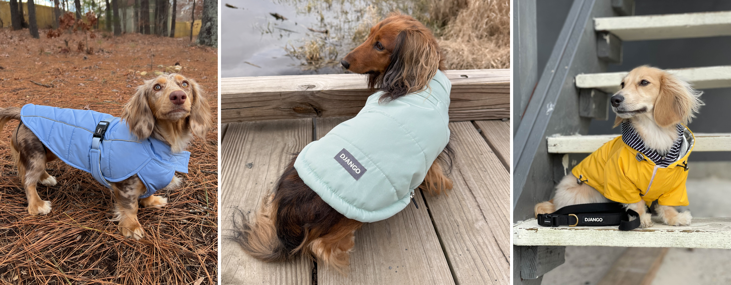 Best coats for dachshunds, including puffer dog vests for winter, hooded raincoats for wet weather, and lightweight jackets for chilly autumn walks and everyday use