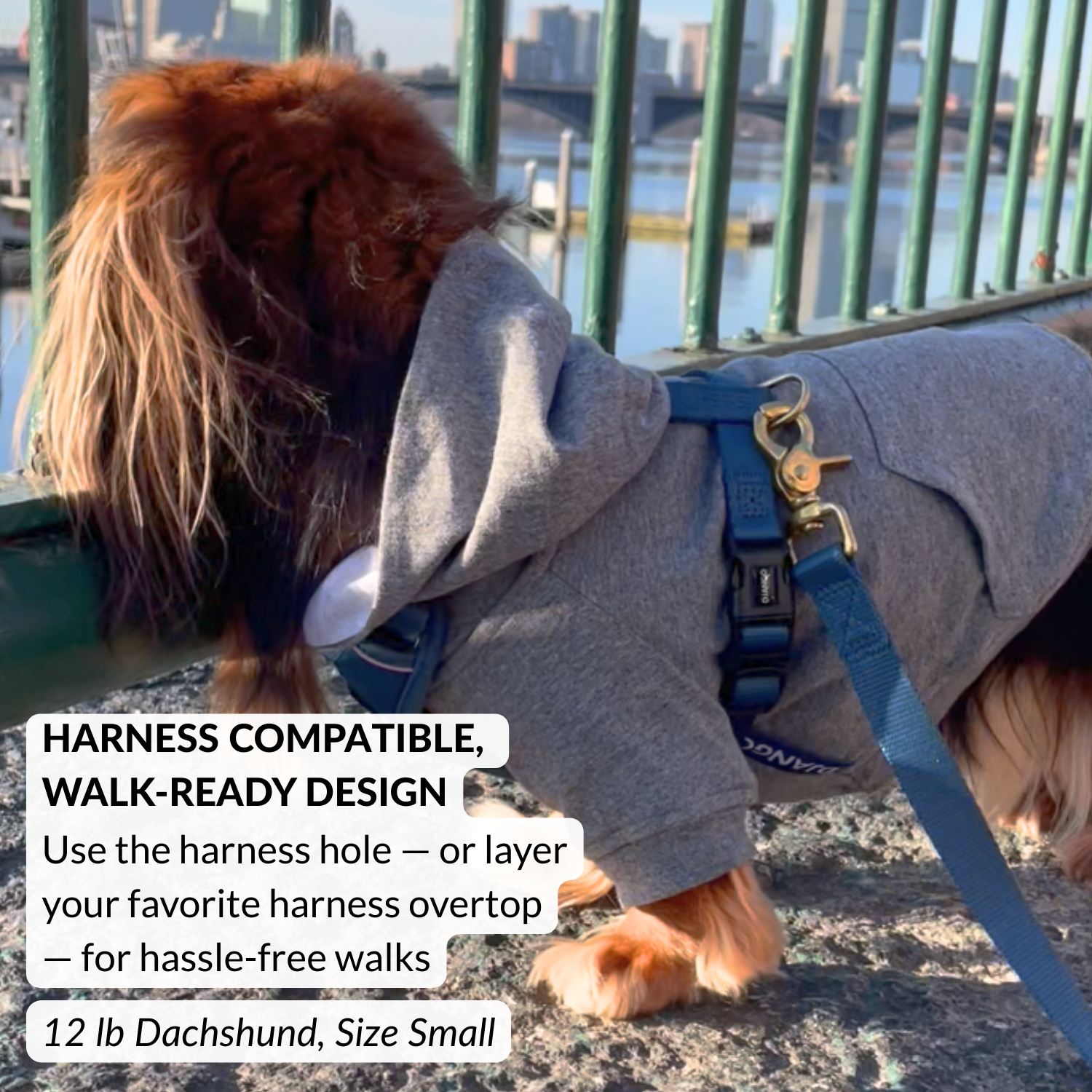 Dog Hoodies - Soft, Cozy, and Fully Lined