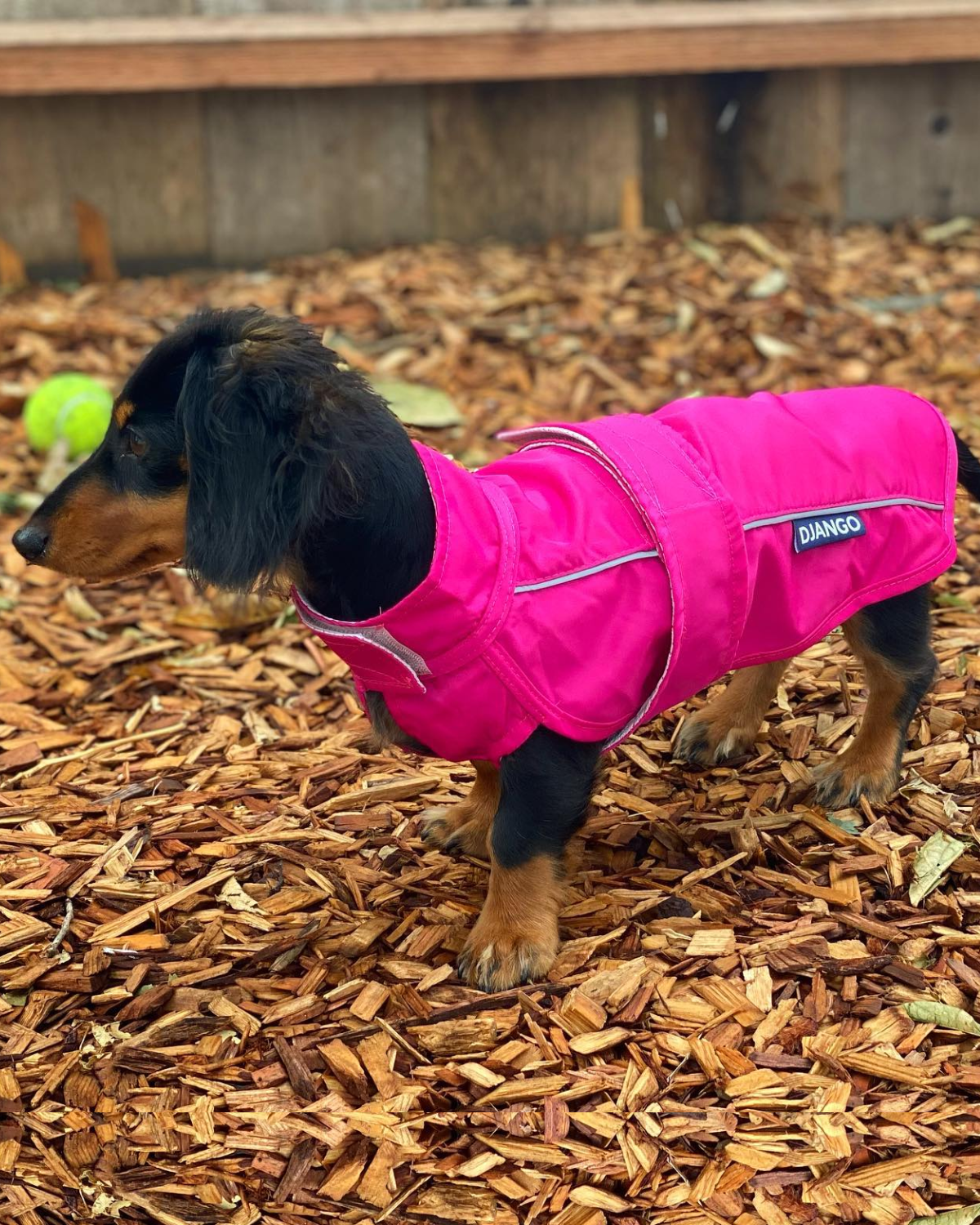 City Slicker All-Weather Dog Jacket & Raincoat - Cerise Pink