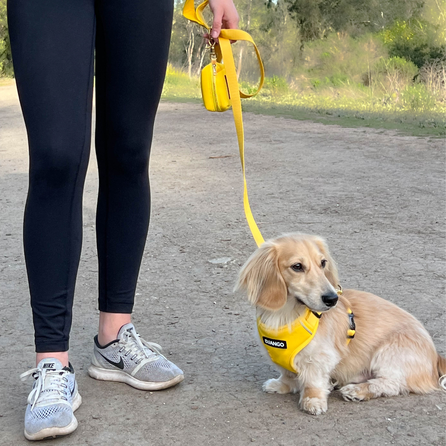 Person walking a dog on a leash in an outdoor setting