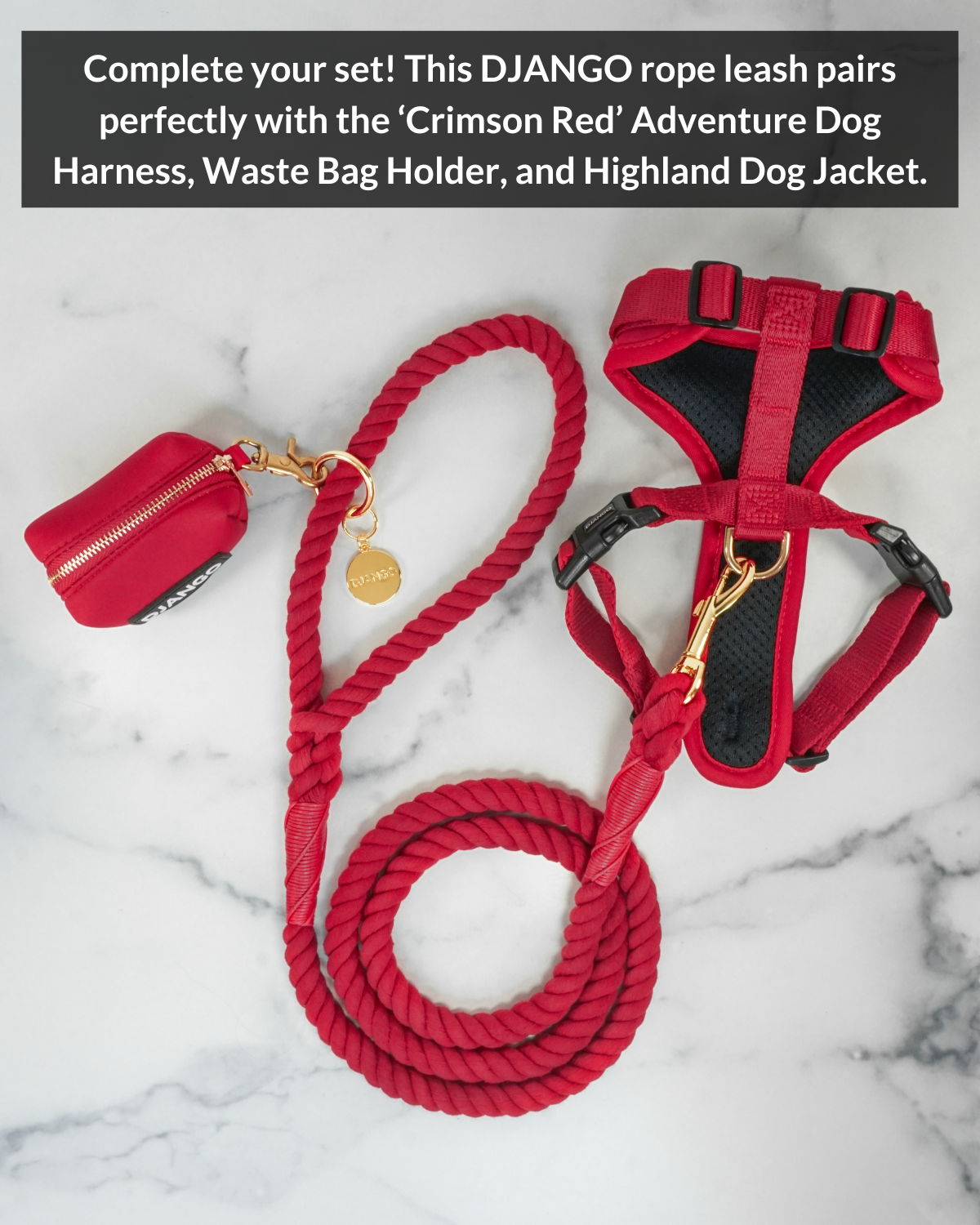 Cotton Rope Dog Leash - Crimson Red