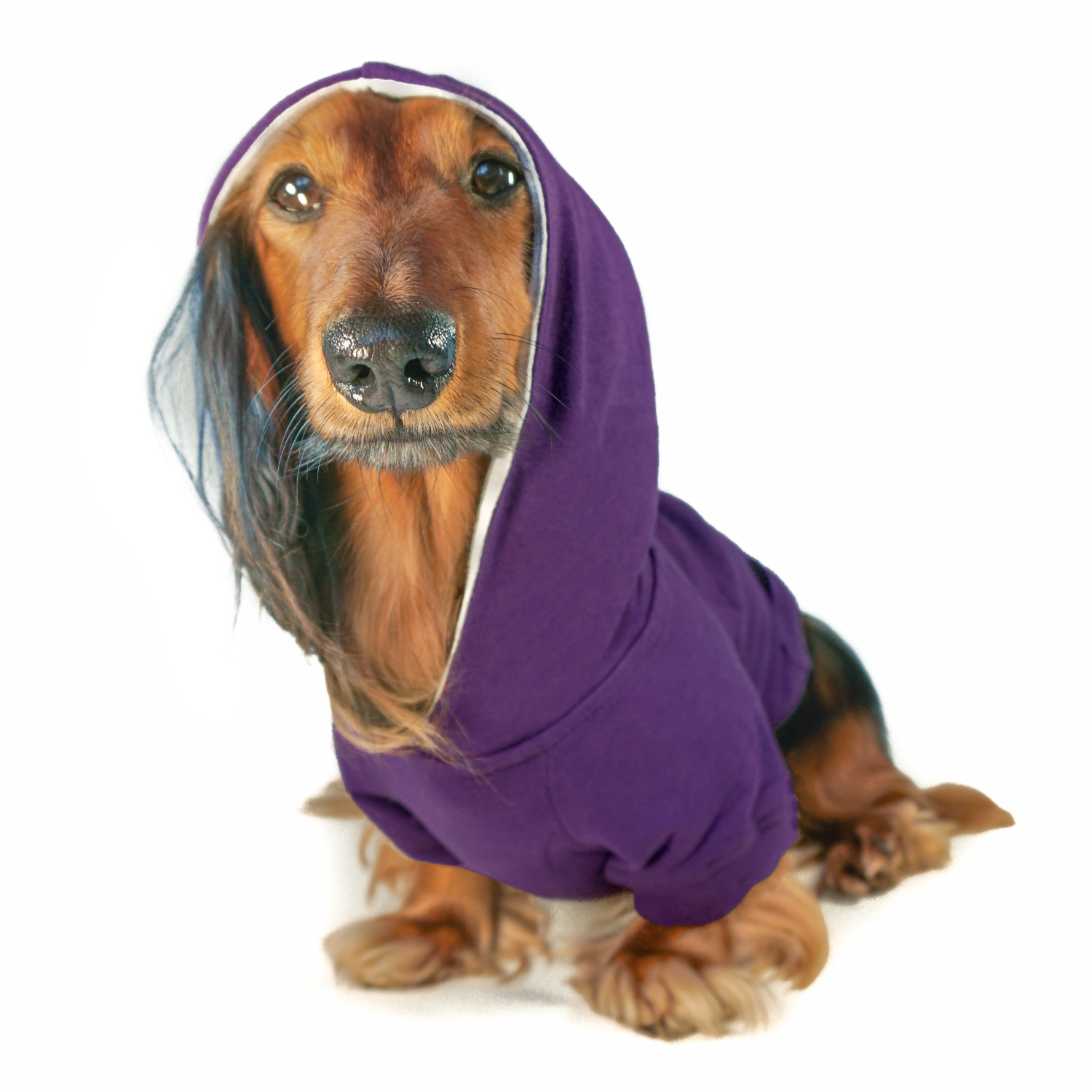 Designed for warmth, comfort, and function, DJANGO's Royal Purple dog hoodies are fully lined and have a reinforced leash portal, a stretchy elastic waistband, and a back pocket. DJANGO dog hoodies are also perfect for layering. Consider pairing your hoodie with your Reversible Puffer Dog Coat or City Slicker All-Weather Dog Jacket during the coldest winter months.- djangobrand.com