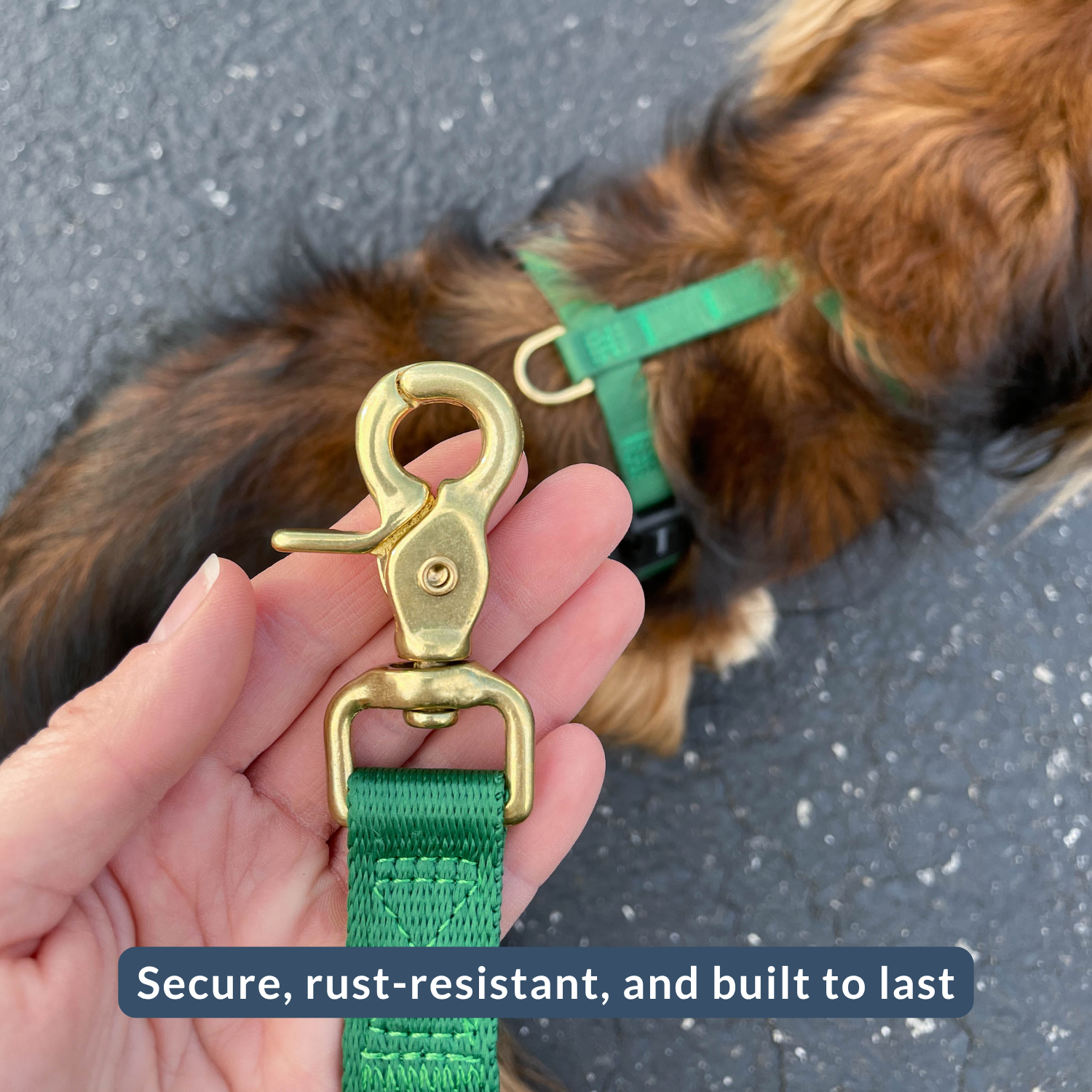 Green dog leash with gold clasp held by a hand, with a dog in the background.