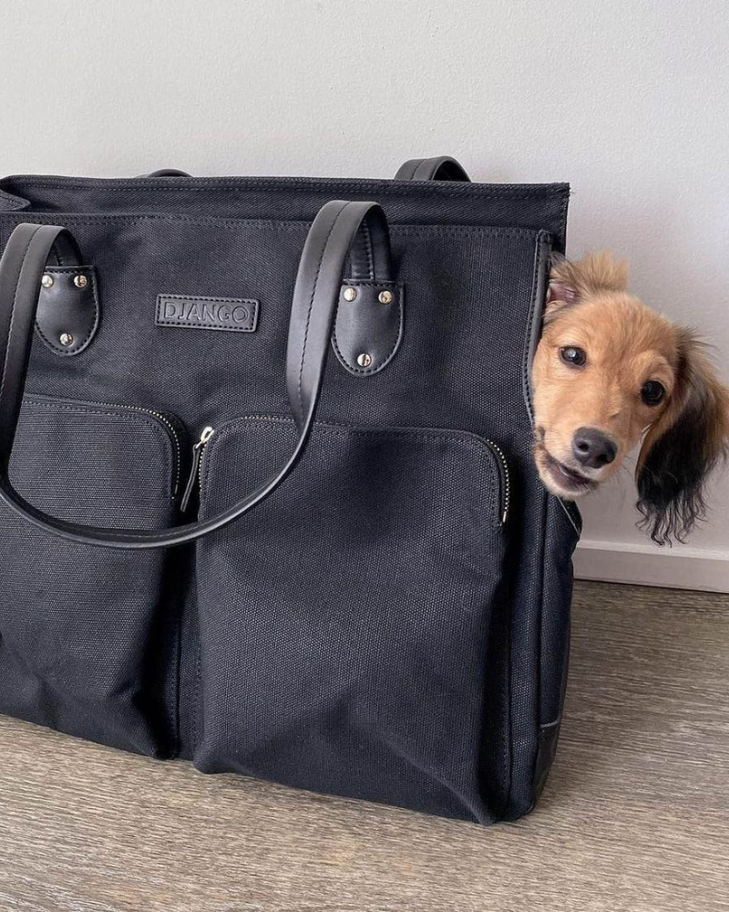 Adorable puppy dog peeking out from a black waxed canvas dog carrier tote bag with a visible brand logo, black leather handles, and large zipper pockets
