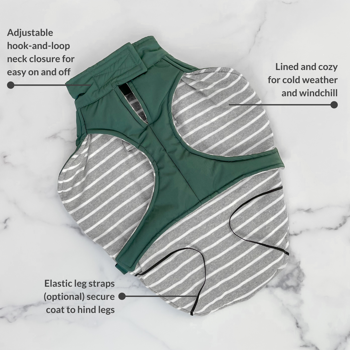 Whistler Winter Dog Coat - Lafayette Green