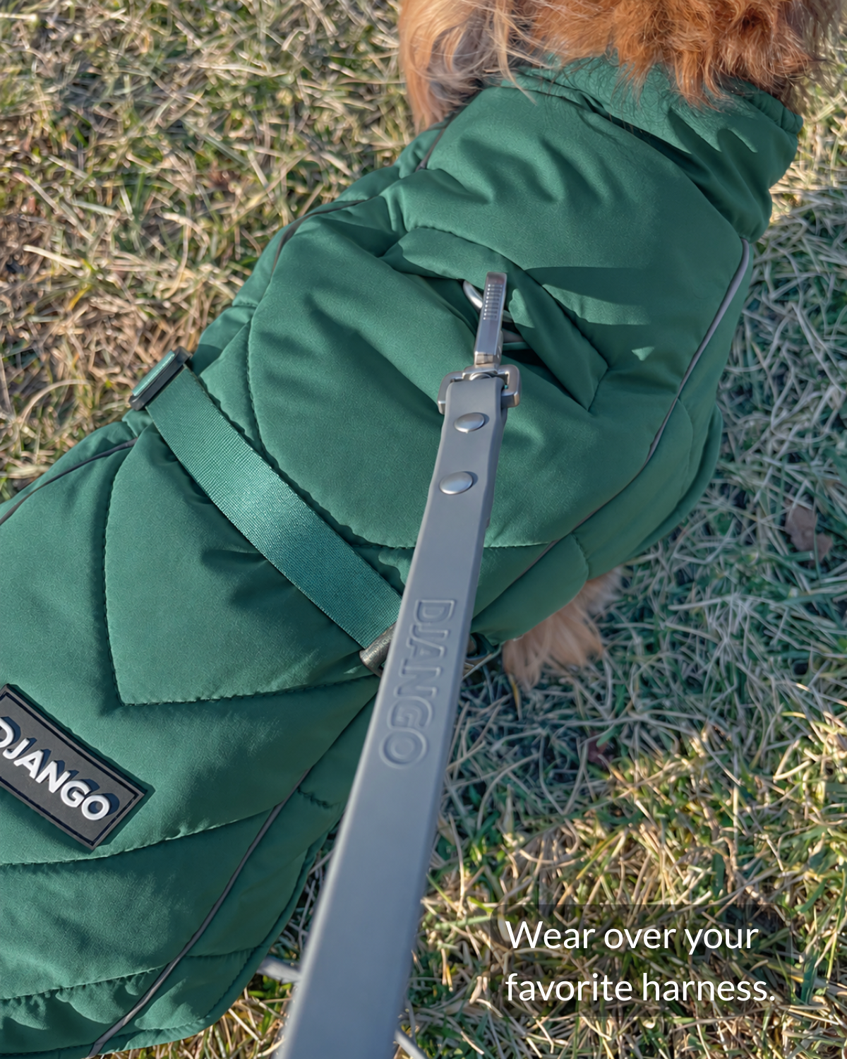 Close up of dark green puffer dog coat with quilted stitching and harness hole showing harness-leash-attachment clearly
