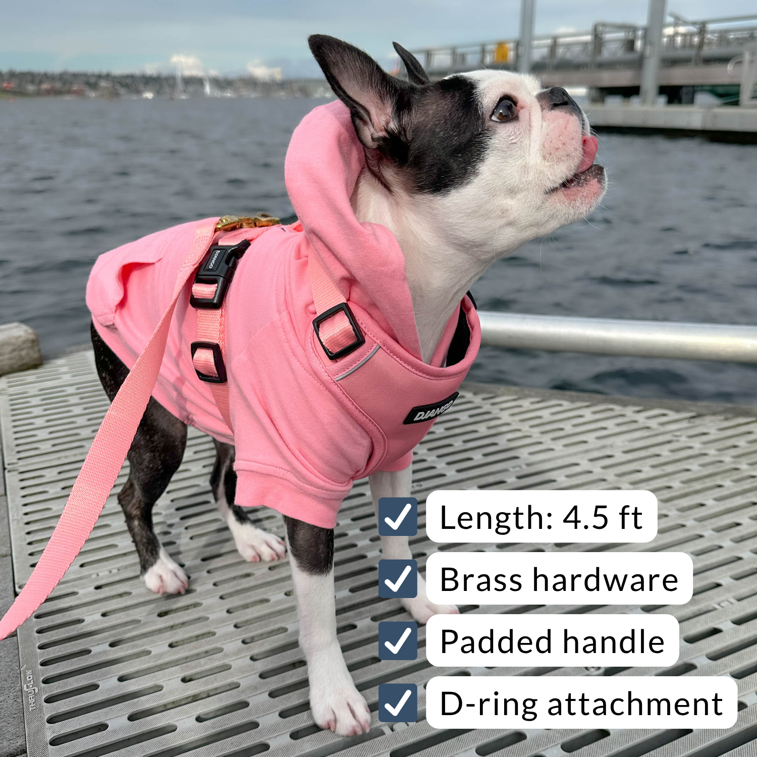 Boston terrier dog wearing a pink dog hoodie and pink harness and leash set with text detailing features on a dock by water.