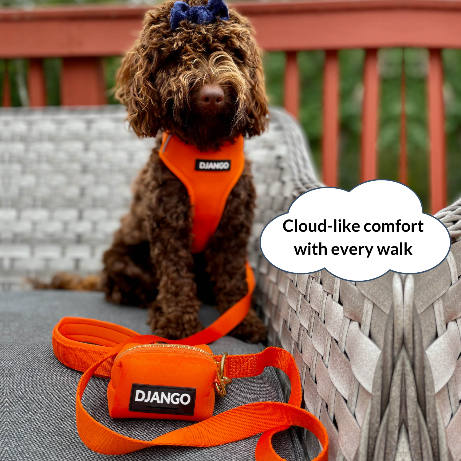 Dog wearing an orange harness and leash with 'Django' branding, sitting on a wicker chair.