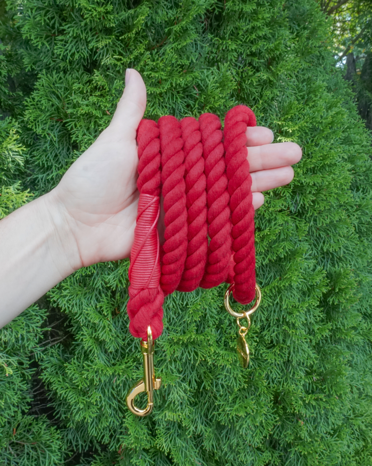 Cotton Rope Dog Leash - Crimson Red