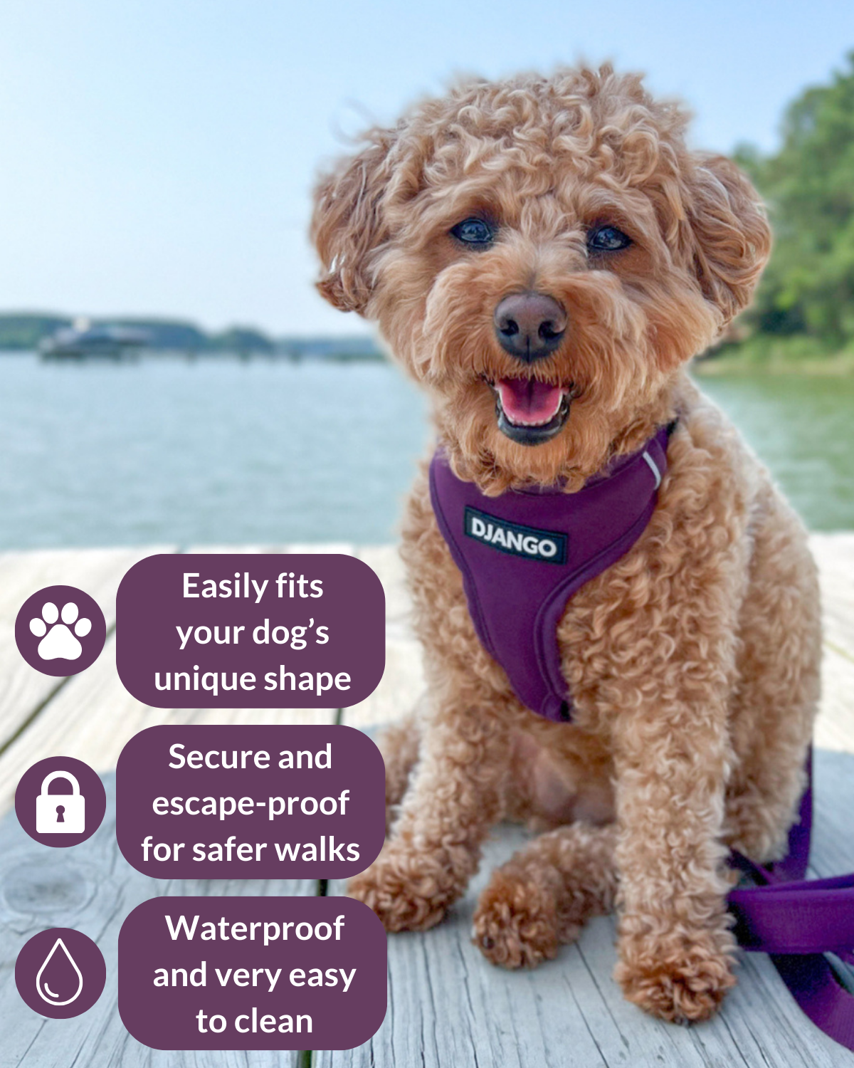 Tailored for small and medium dogs, this Plum Purple harness is adjustable and padded for ultimate comfort, making it perfect for outdoor walks and adventures.