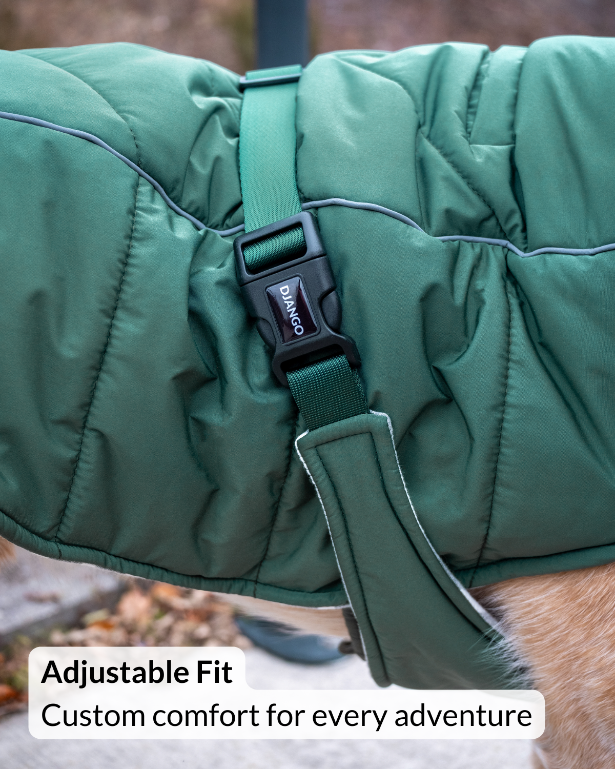 Green winter dog coat with an adjustable strap and 'DJANGO' brand logo, on a natural background. Warm, insulated coat for large dogs