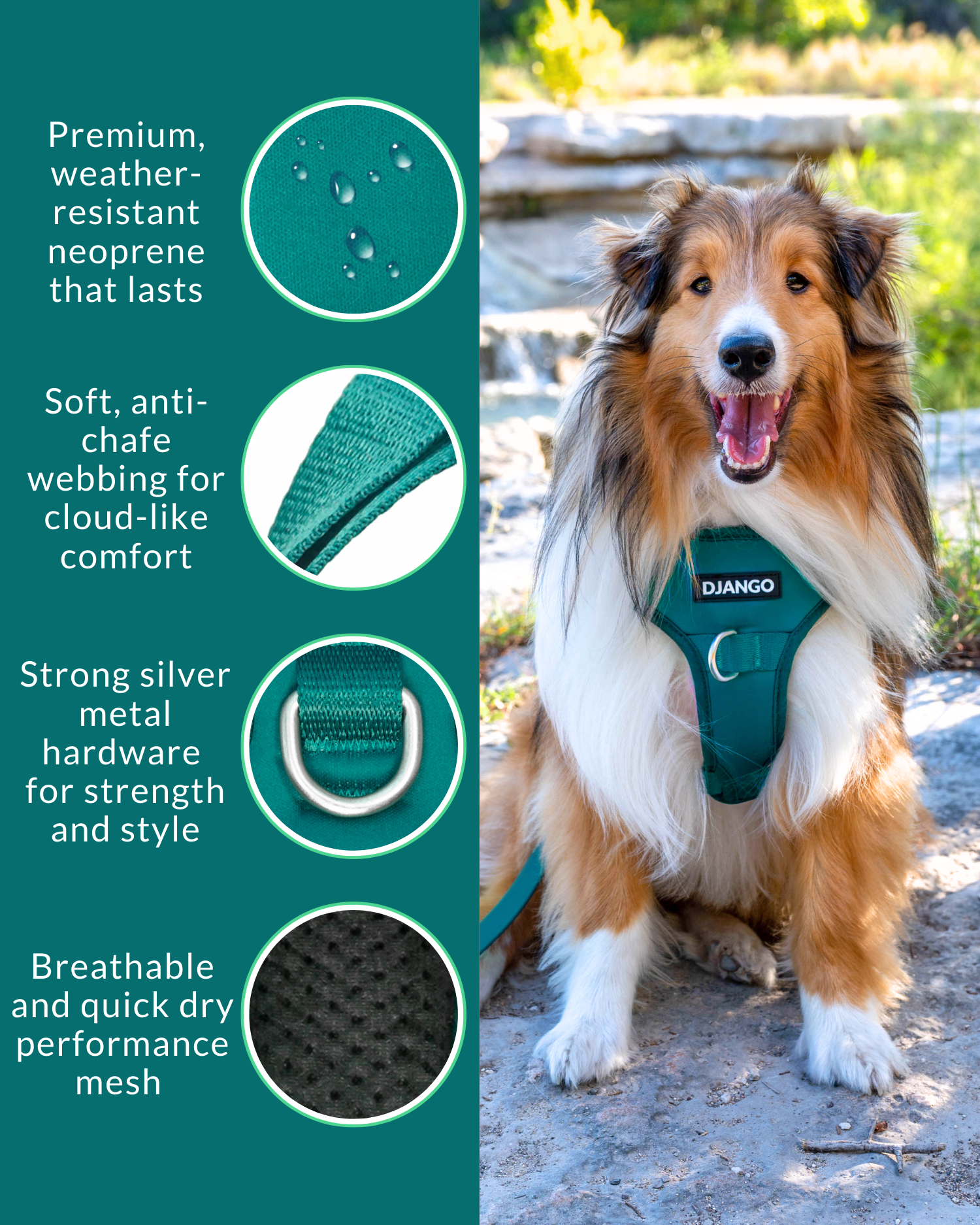 Lightweight and breathable no pull dog harness – Perfect for outdoor adventures, training, and everyday walks with a secure, comfortable fit