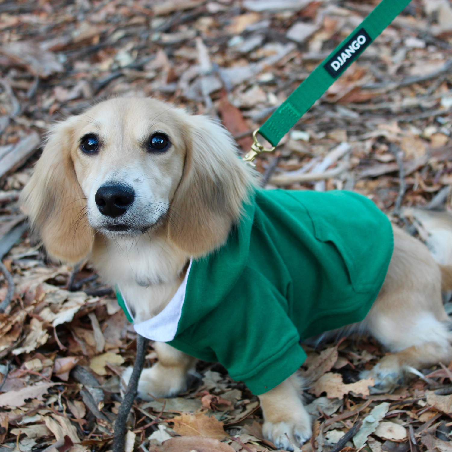 DJANGO’s Trendy Forest Green Hoodie – Flexible, easy to wear, and perfect for colder days.