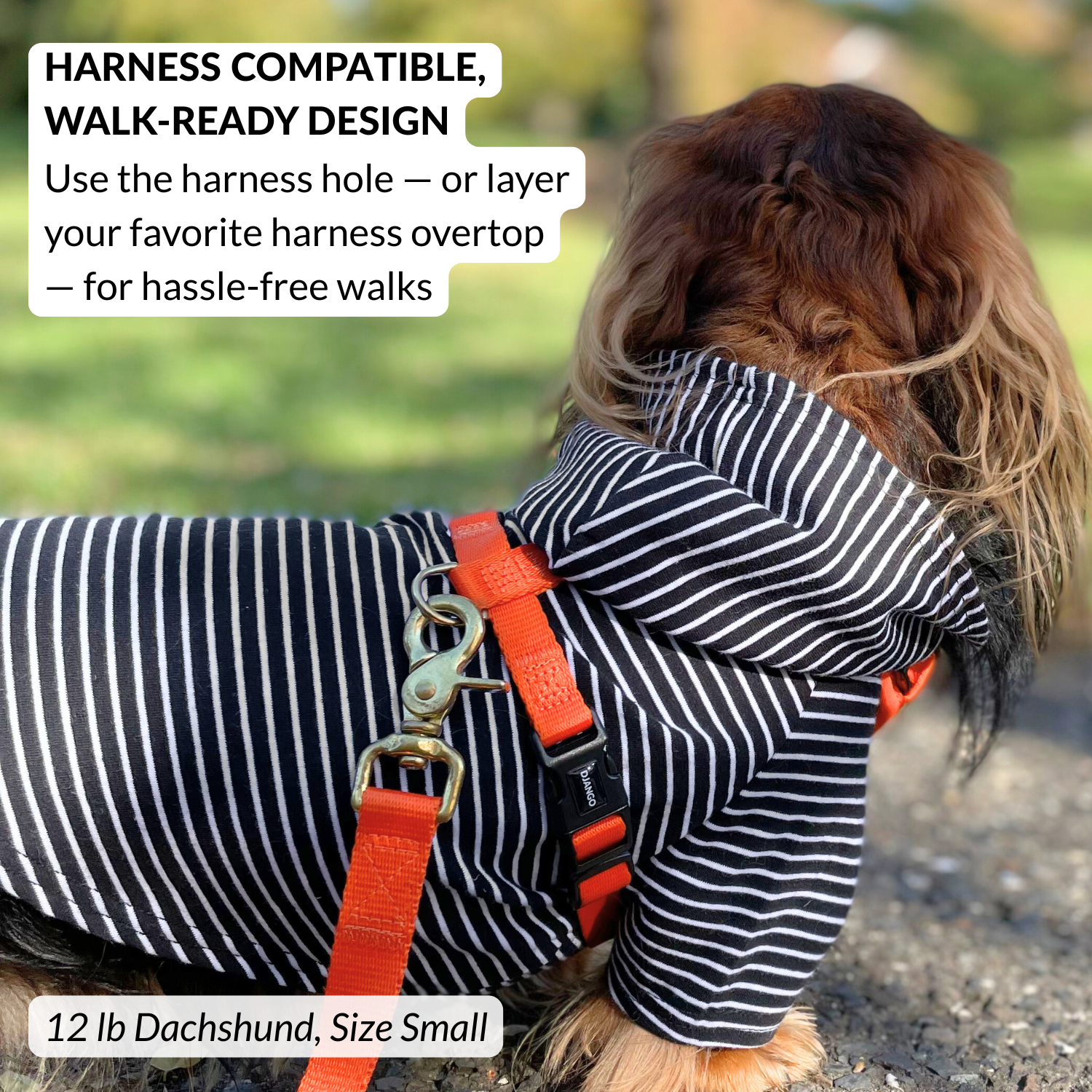 Cozy black striped pullover dog hoodie with harness hole perfect for dachshunds and small breeds.