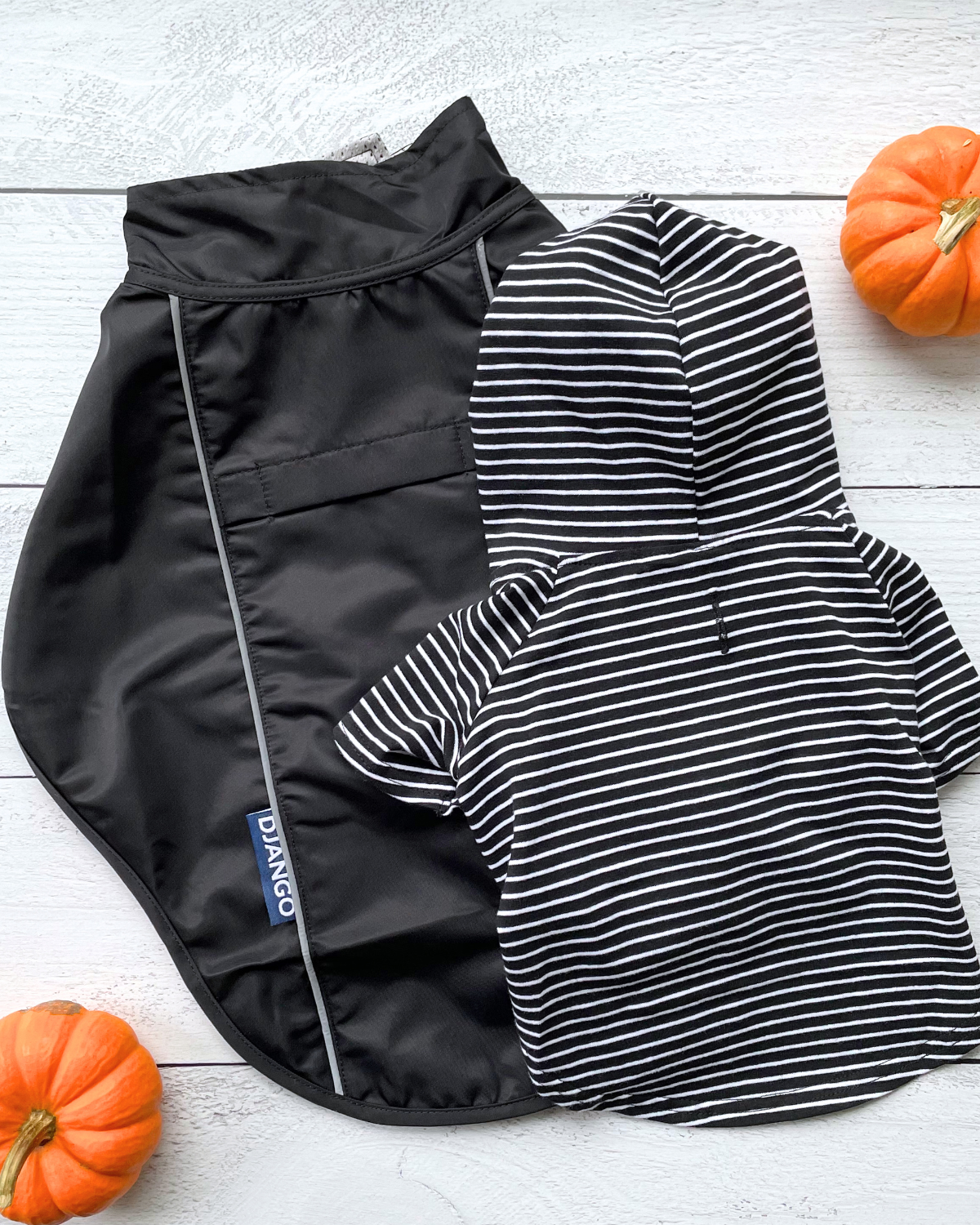 The DJANGO City Slicker in Black is a waterproof dog raincoat that offers both style and function. Perfect for small breeds like dachshunds, this lightweight jacket provides the ultimate weather protection, keeping your dog dry and comfortable during wet conditions. Ideal for daily walks or rainy outdoor activities.