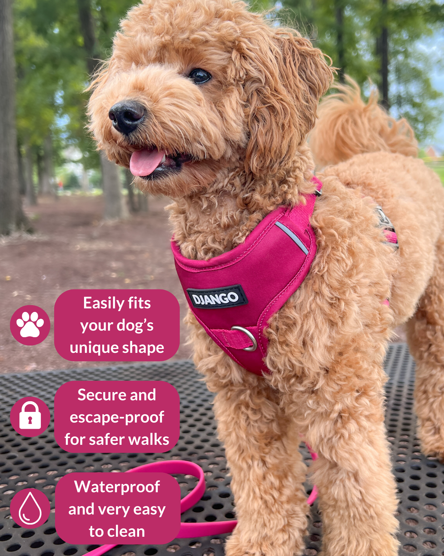 Hibiscus Pink no pull dog harness – Designed for adventure with a snug, escape-proof fit, strong buckles, and reinforced webbing