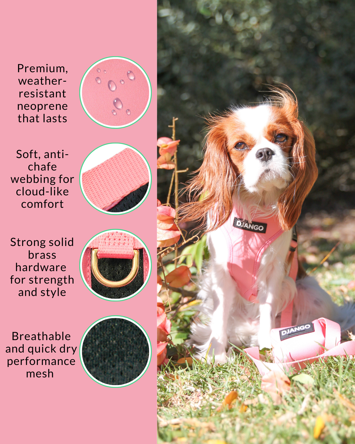 Enjoy more relaxed and safe walks with this Quartz Pink DJANGO dog harness, designed for comfort and safety during every walk and adventure.