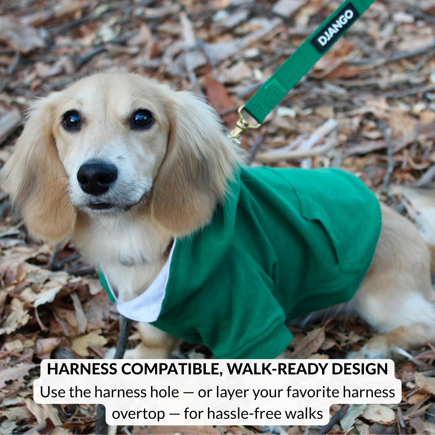 Cotton green hoodie for small dogs like yorkies and pugs, machine washable sweatshirt