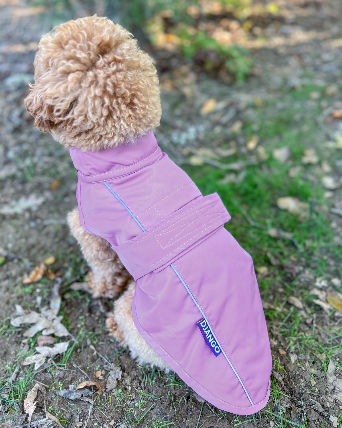 The DJANGO City Slicker in Lilac Purple is a water-repellent raincoat designed for small and medium breeds such as dachshunds, yorkies, poodles, and cavalier king charles spaniels. This lightweight jacket ensures your dog stays comfortable and dry during wet weather outings.