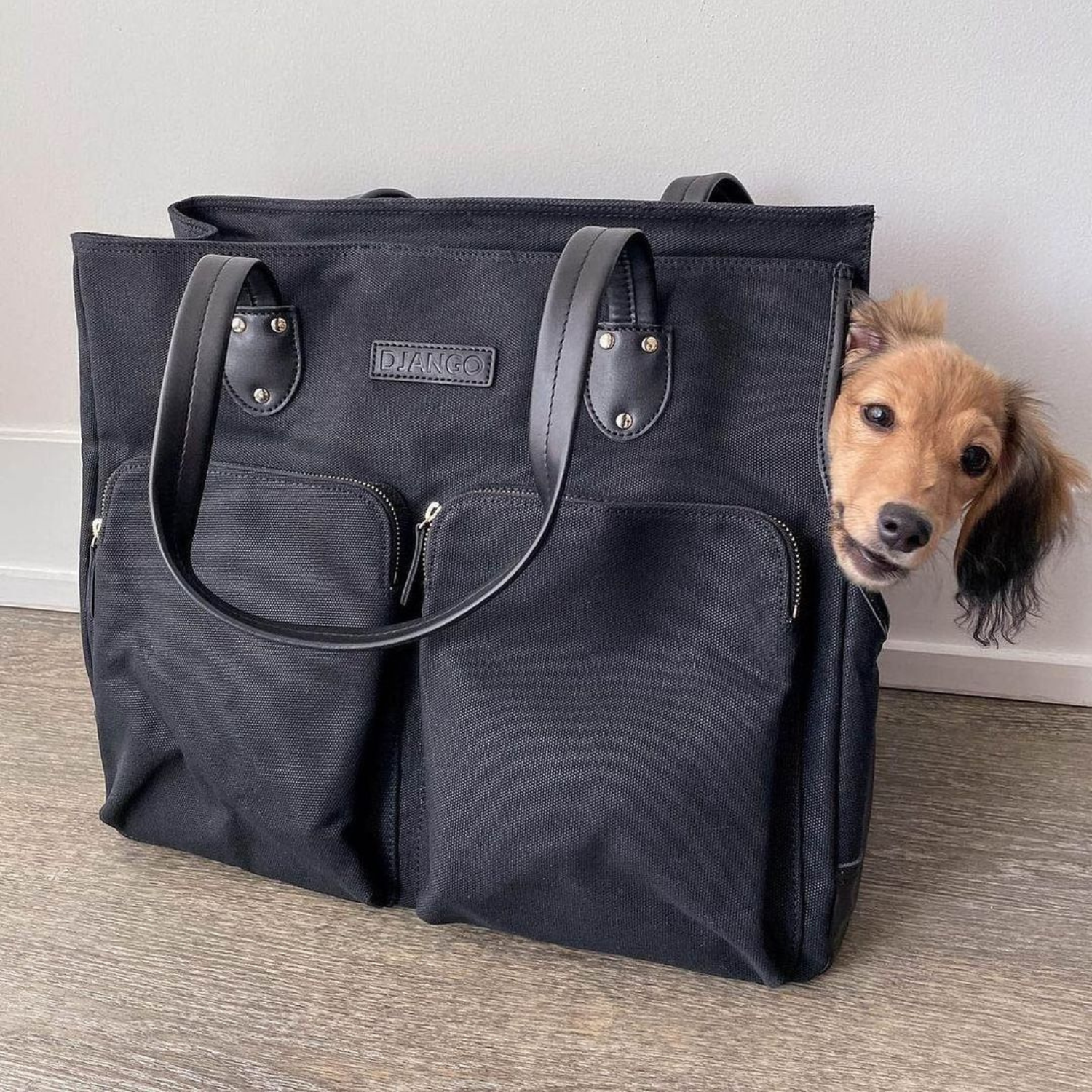 The startup dog in your handbag