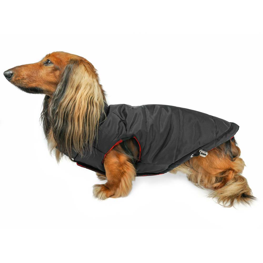 DJANGO Reversible Puffer Cold Weather Dog Coat in Black