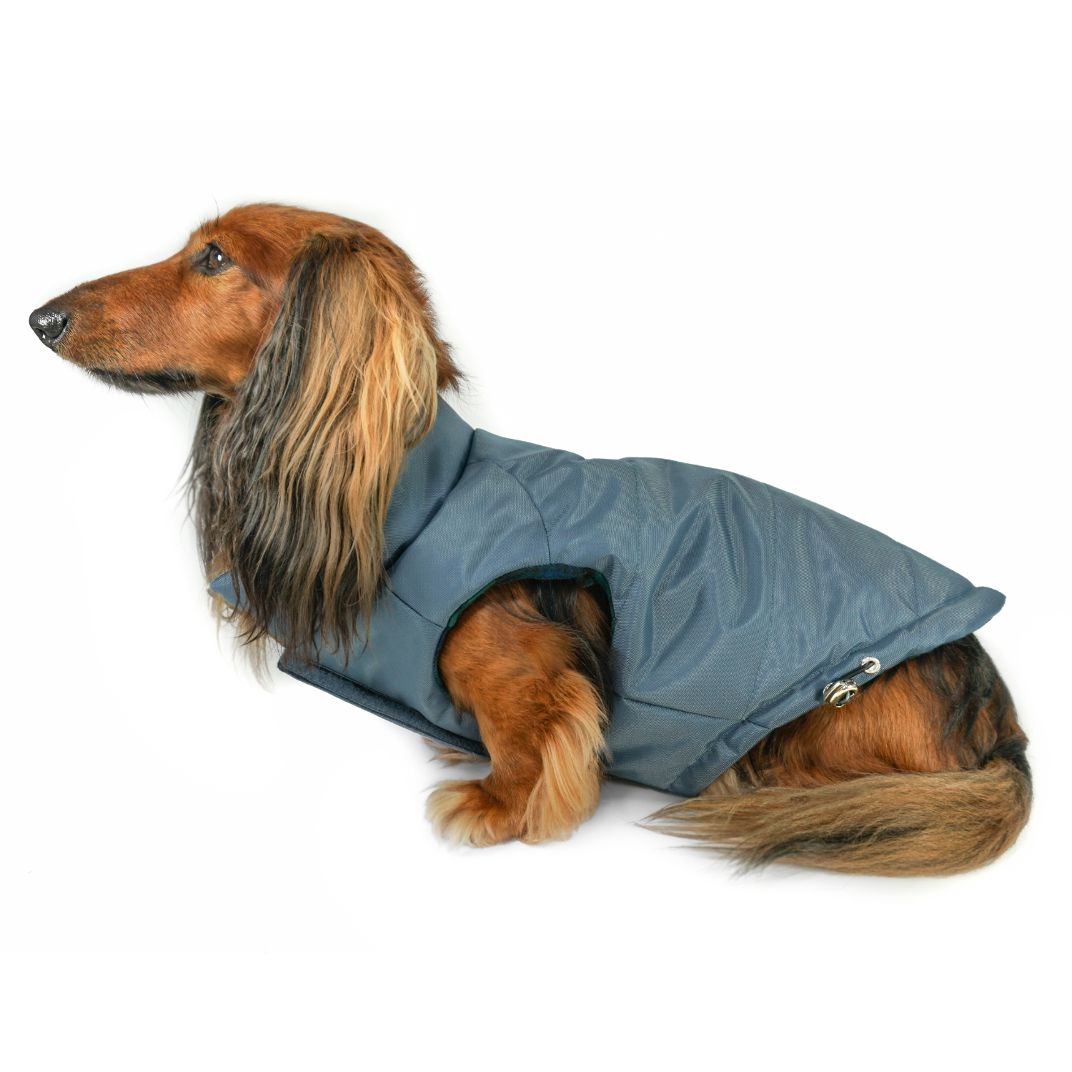 DJANGO Dog Coats djangobrand