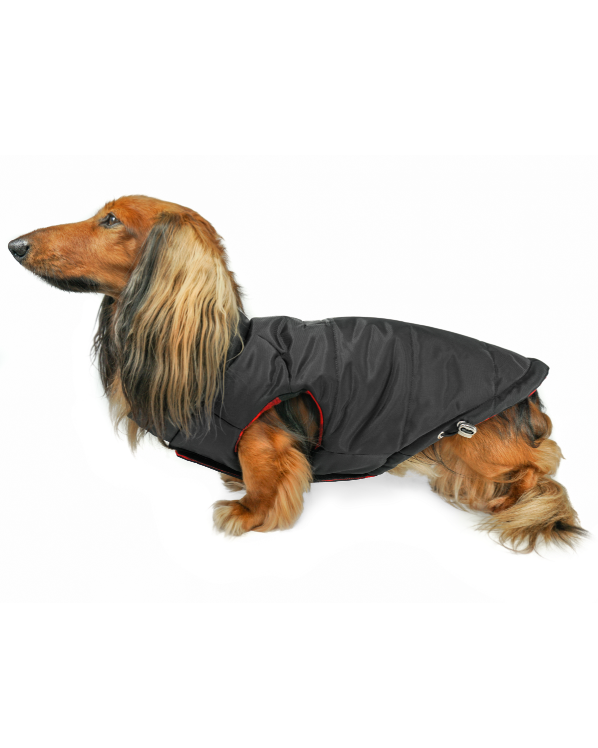 Premium Winter Dog Coat: DJANGO's Reversible Puffer Dog Coat is a high-quality insulated winter jacket designed to keep dachshunds and all small and medium-sized dogs warm, dry, and protected in cold weather.