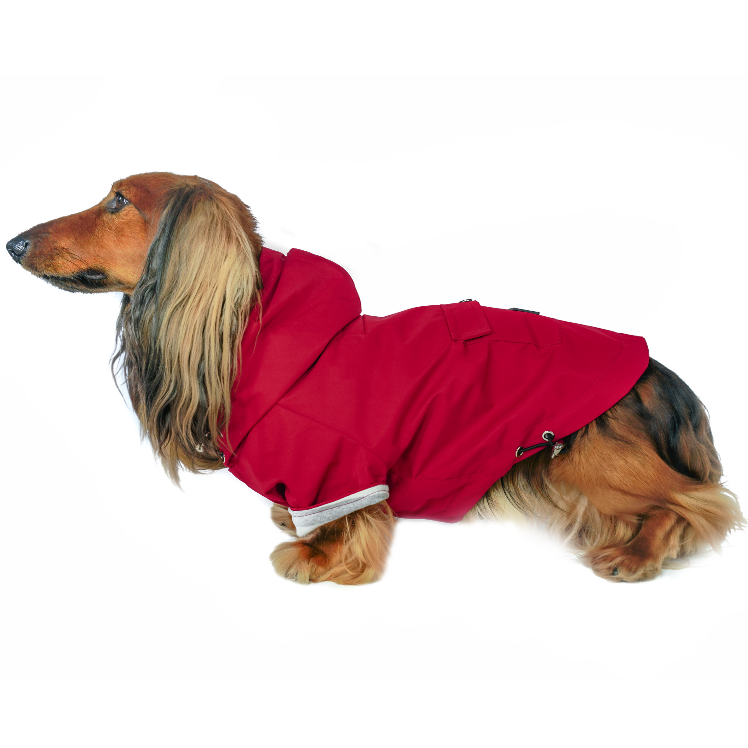 DJANGO adjustable waterproof dog raincoat for small dog medium dog with hood elastic band striped lining crimson red