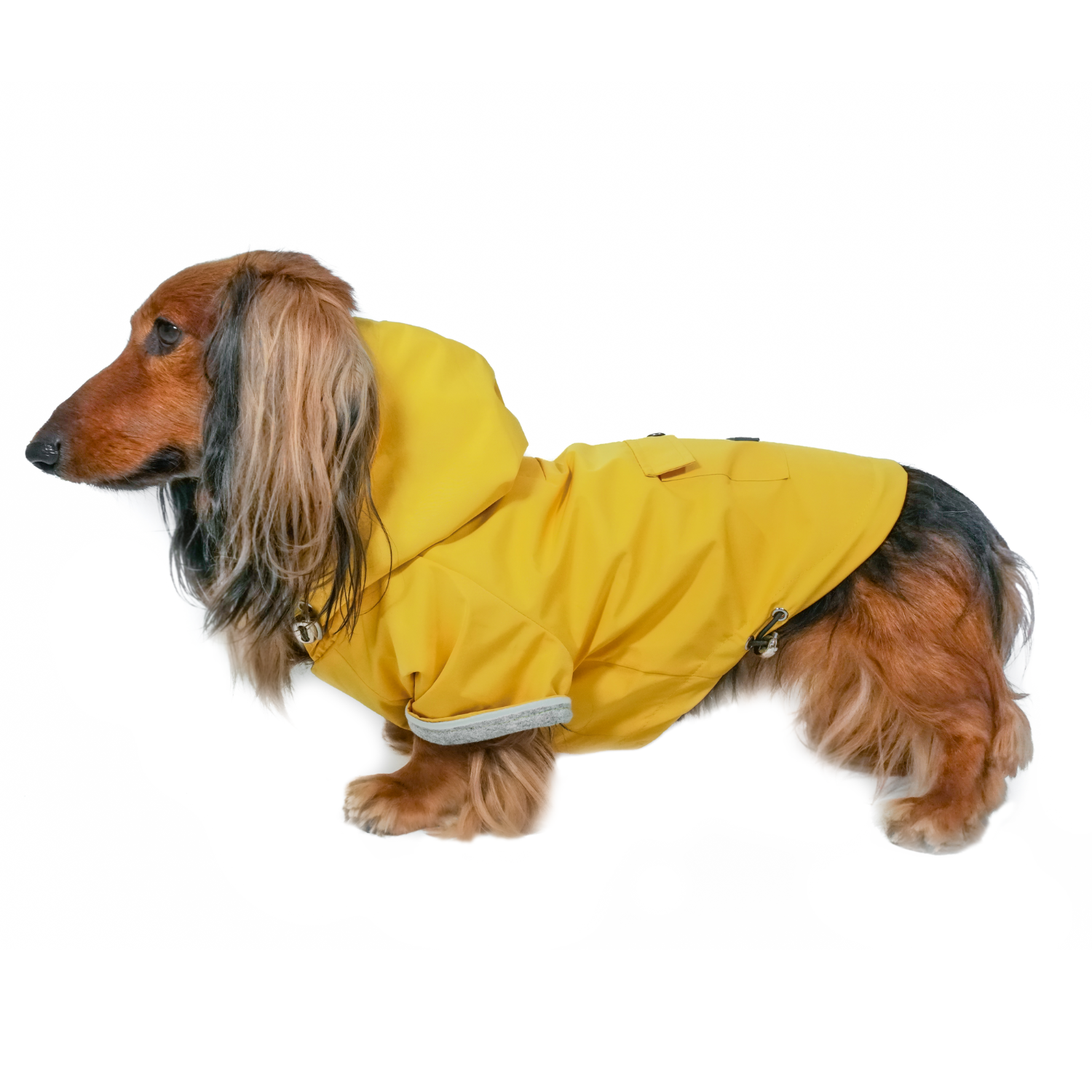 DJANGO adjustable waterproof dog raincoat for small dog medium dog with hood elastic band striped lining yellow