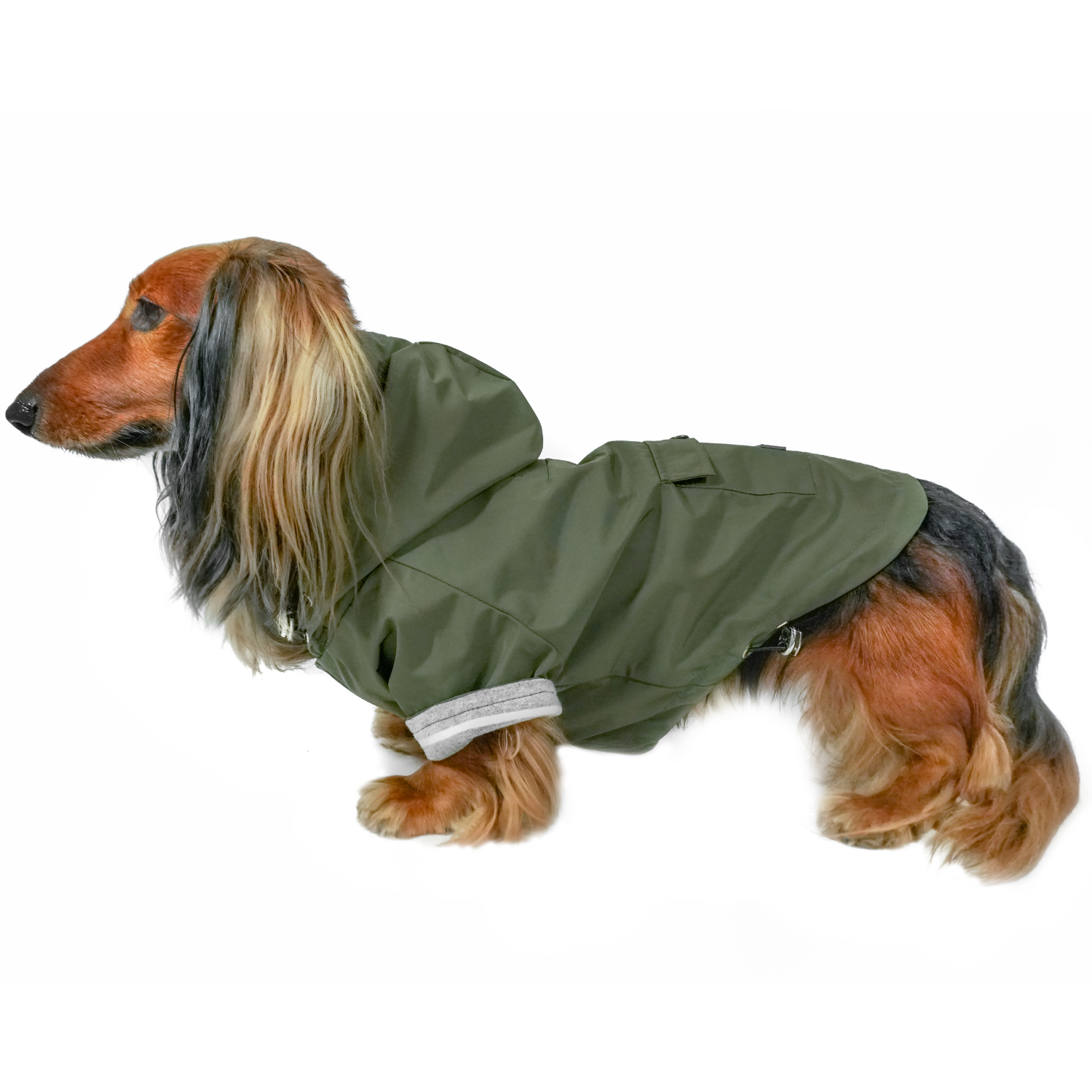 DJANGO adjustable waterproof dog raincoat for small dog medium dog with hood elastic band striped lining olive green